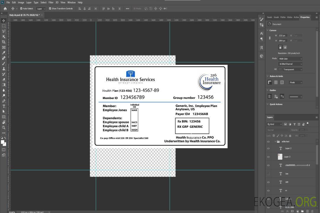 Carte d'assurance maladie de Virginie-Occidentale template